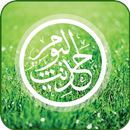 Hadith and Qoutes Urdu MP3 Offline ( اردو حدیث )-APK