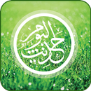 Hadith and Qoutes Urdu MP3 Offline ( اردو حدیث ) APK