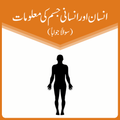 Human Body Science Quiz - Urdu