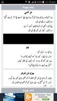 2 Schermata Urdu Lateefay