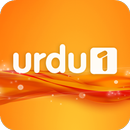 Urdu 1 Live TV APK