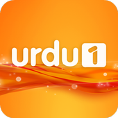 Urdu 1 Live TV icône
