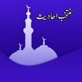 Muntakhab Ahadees