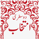 Urdu And Roman Poetry APK