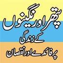 APK Pathron kay Asraat