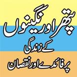 Pathron kay Asraat