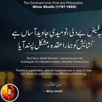 Mirza Ghalib Poetry screenshot 3