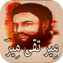 Meer Taqi Meer Shayari APK