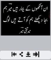 Meer Taqi Meer Shayari Affiche