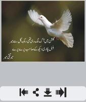 Meer Taqi Meer Shayari capture d'écran 2