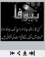 Bewafa Urdu Shayari Screenshot 1