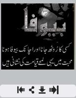 Bewafa Urdu Shayari captura de pantalla 1