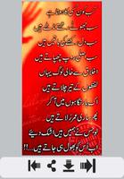 Bhool Urdu Shayari Affiche