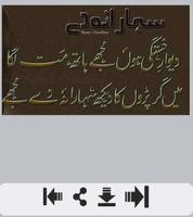 Deedar Urdu Shayari capture d'écran 2