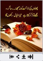 Dosti Shayri پوسٹر