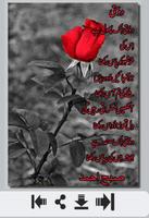 Dosti Shayri 截圖 1