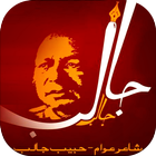 Habib Jalib Poetry-icoon