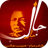 Habib Jalib Poetry icon