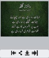 Habib Jalib Poetry تصوير الشاشة 2