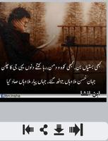 Ibn e Insha Shayari 截图 3