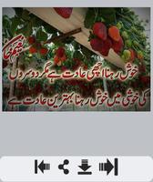 Khushi Shayari اسکرین شاٹ 3