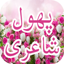 Phool Shayari APK