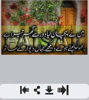 Phool Shayari 截图 3