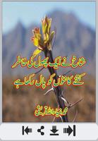 Phool Shayari 海报