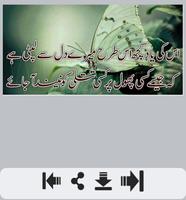 Phool Shayari 截图 1
