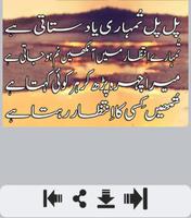 پوستر Yaadein Shayari