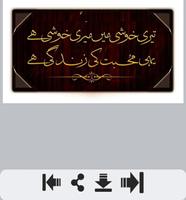 Zindagi Shayari Cartaz