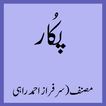Pukaar - Urdu Novel