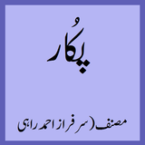 Pukaar - Urdu Novel icon