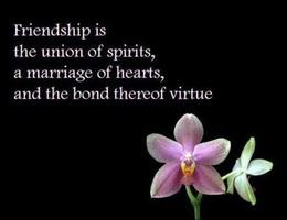 Friendship Poetry - Shayari تصوير الشاشة 1