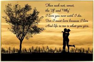 Love Poems For Her постер