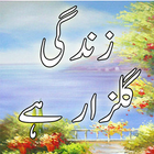 Zindagi Gulzar Ha Novel icon