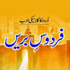 Firdous e Bareen Urdu Novel आइकन