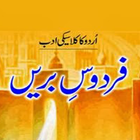 Firdous e Bareen Urdu Novel-icoon