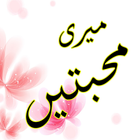 Meri Muhabtein Urdu Novel-icoon