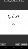 Jannat Ke Pattay - Nimra Ahmed 截图 2