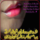 Hount ki Urdu Shairi - - - Lips Poetry Collection icon