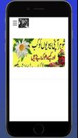 Urdu Islamic Info capture d'écran 3