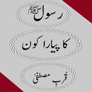 islamic books in urdu APK