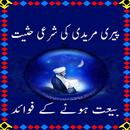 Peeri Aur Mureedi APK