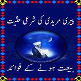 Peeri Aur Mureedi আইকন