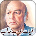 TGM Kulliyat e Habib Jalib आइकन