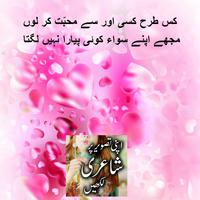 Urdu Poetry and Text on Photos captura de pantalla 3