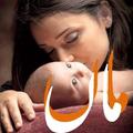 Maa
