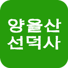 목포 선덕사 icono