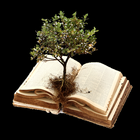 Scripture Mastery App (Deu) icono